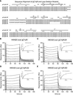 gC1qR/C1qBP/HABP-1: Structural Analysis of the Trimeric Core Region, Interactions With a Novel Panel of Monoclonal Antibodies, and Their Influence on Binding to FXII